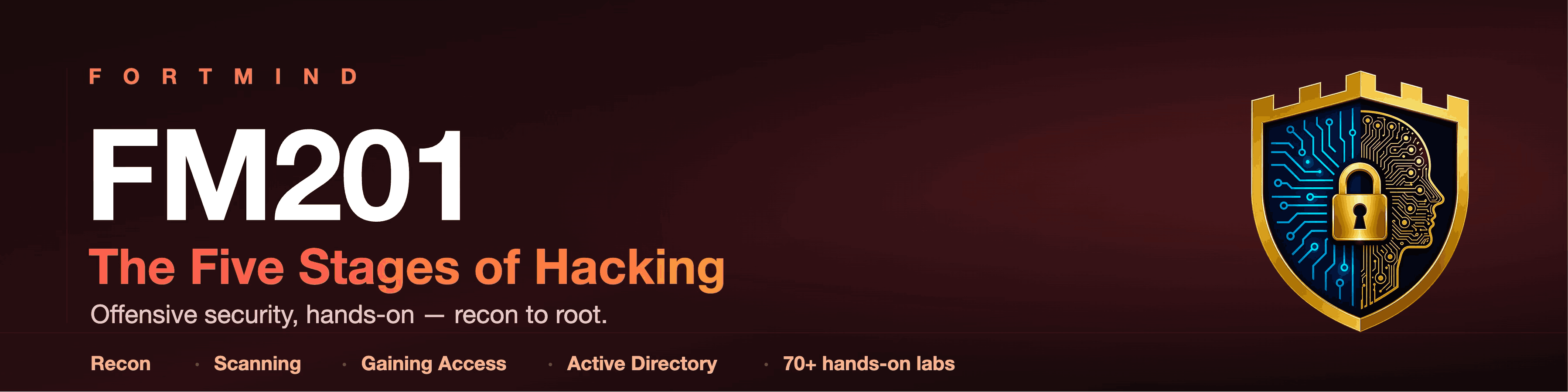 FM201 — The Five Stages of Hacking